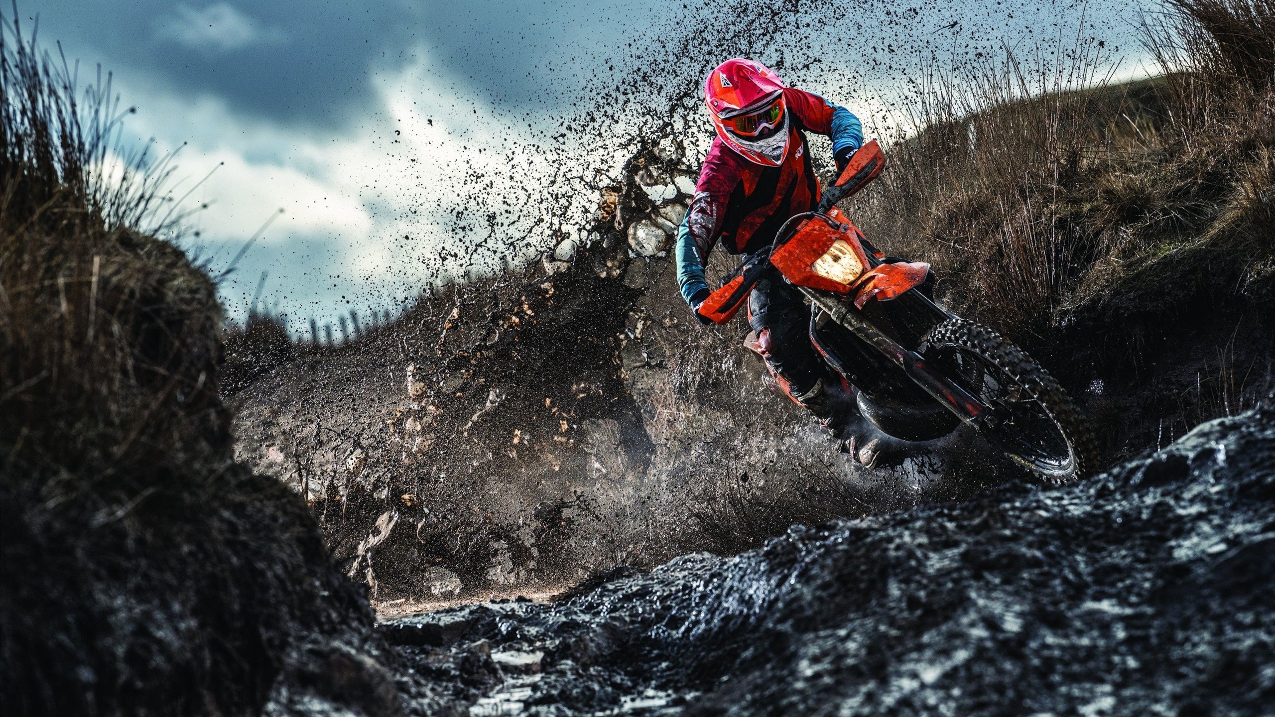 太极虎震彻亚洲,布罗佐维奇独舞中场—2026世界杯G组强强对话,韩国完胜哥伦比亚